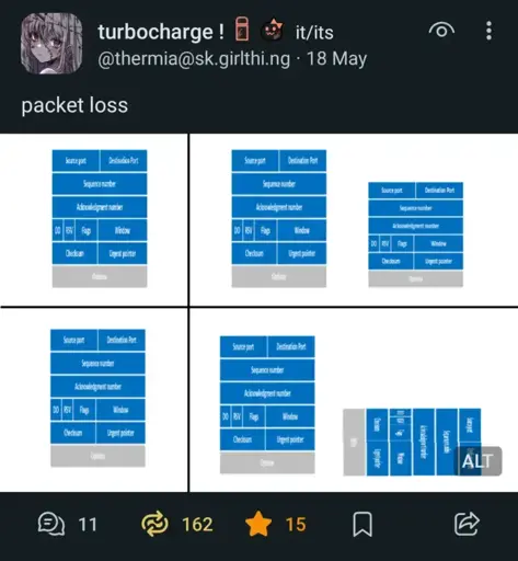A Mastodon post by @thermia@sk.girlthi.ng that just says "packet loss" with an image showing a diagram of a networking packet edited to the format of the loss meme.